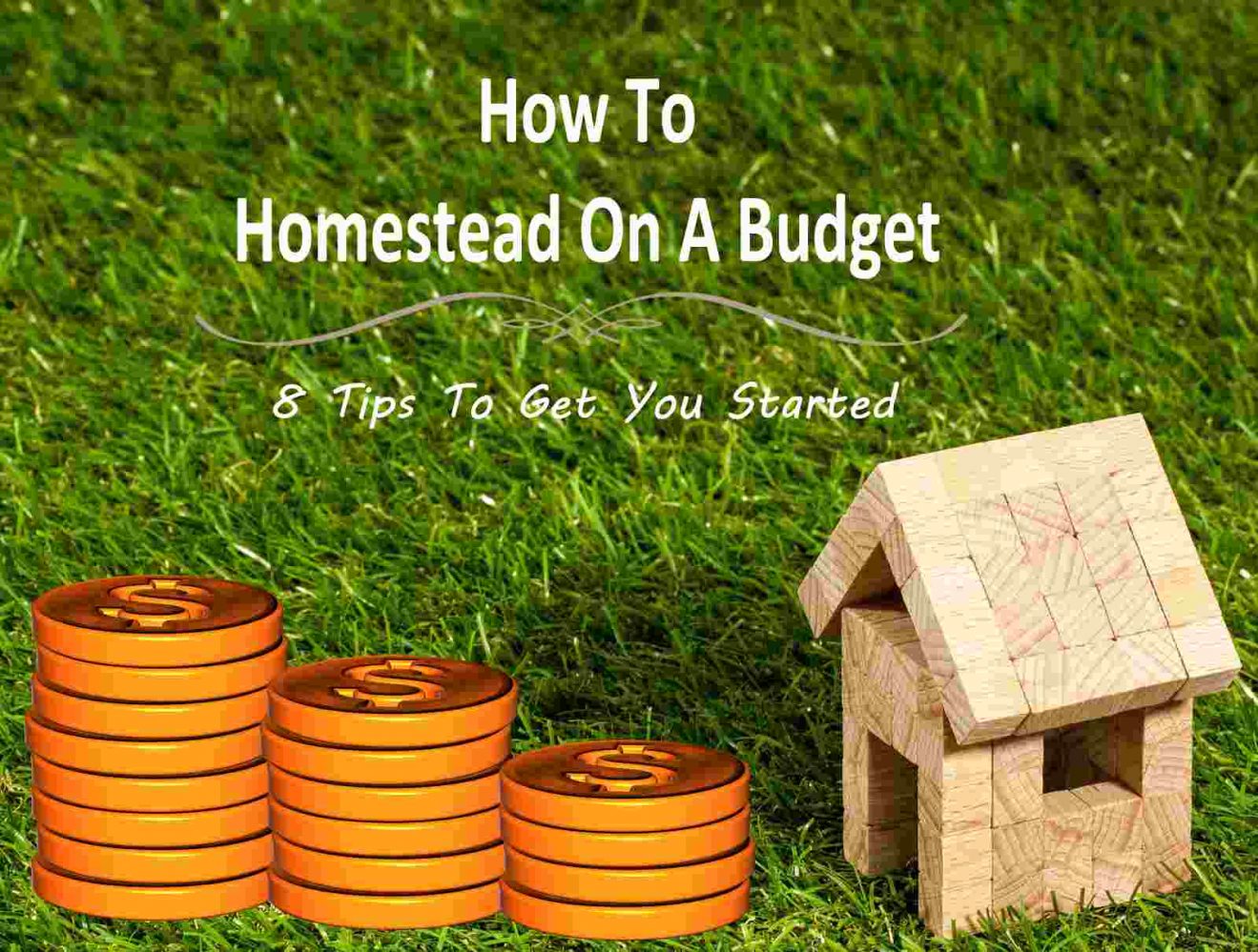 How To Homestead On A Budget - MyGreenTerra #SelfReliance