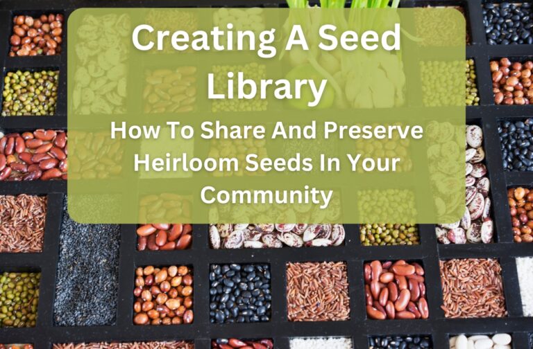 Creating a Seed Library: How to Share and Preserve Heirloom Seeds in Your Community