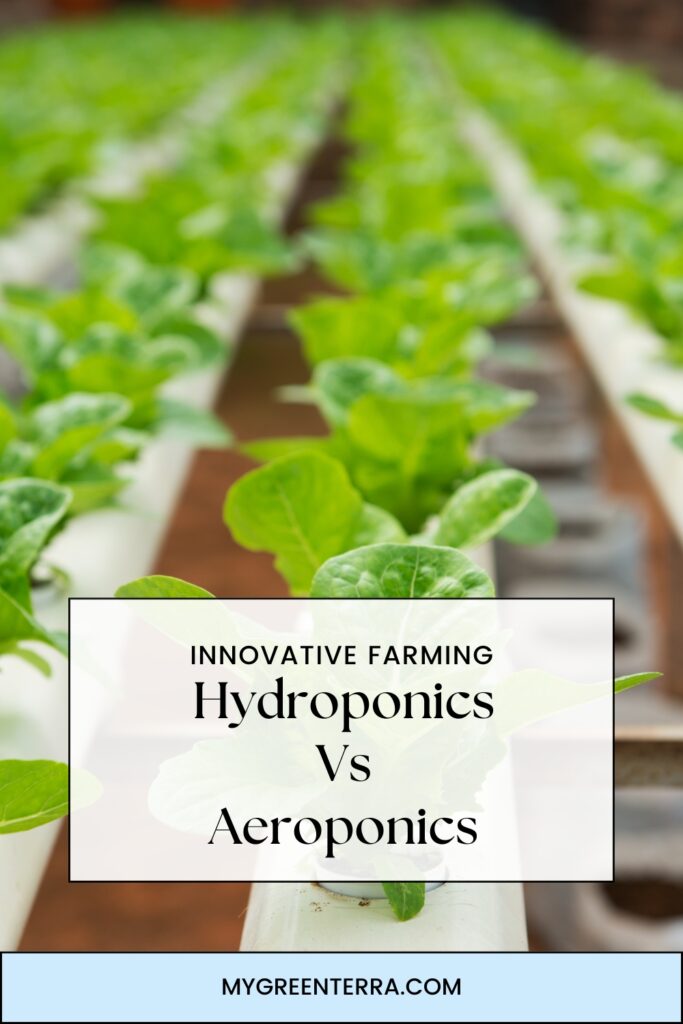 Hydroponics Vs Aeroponics