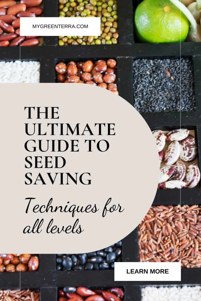 The Ultimate Guide To Seed Saving