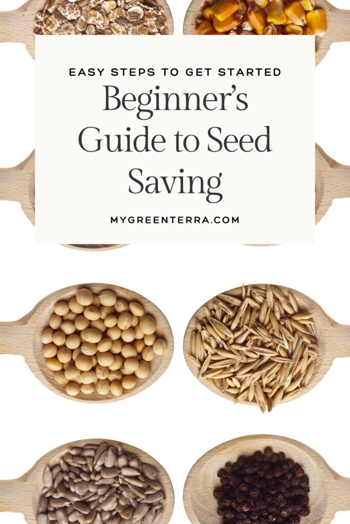 The Ultimate Guide To Seed Saving