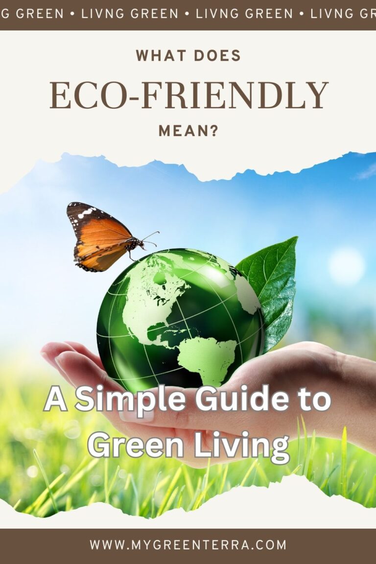 Eco-Friendly Explained: Making Sense of Sustainable Choices